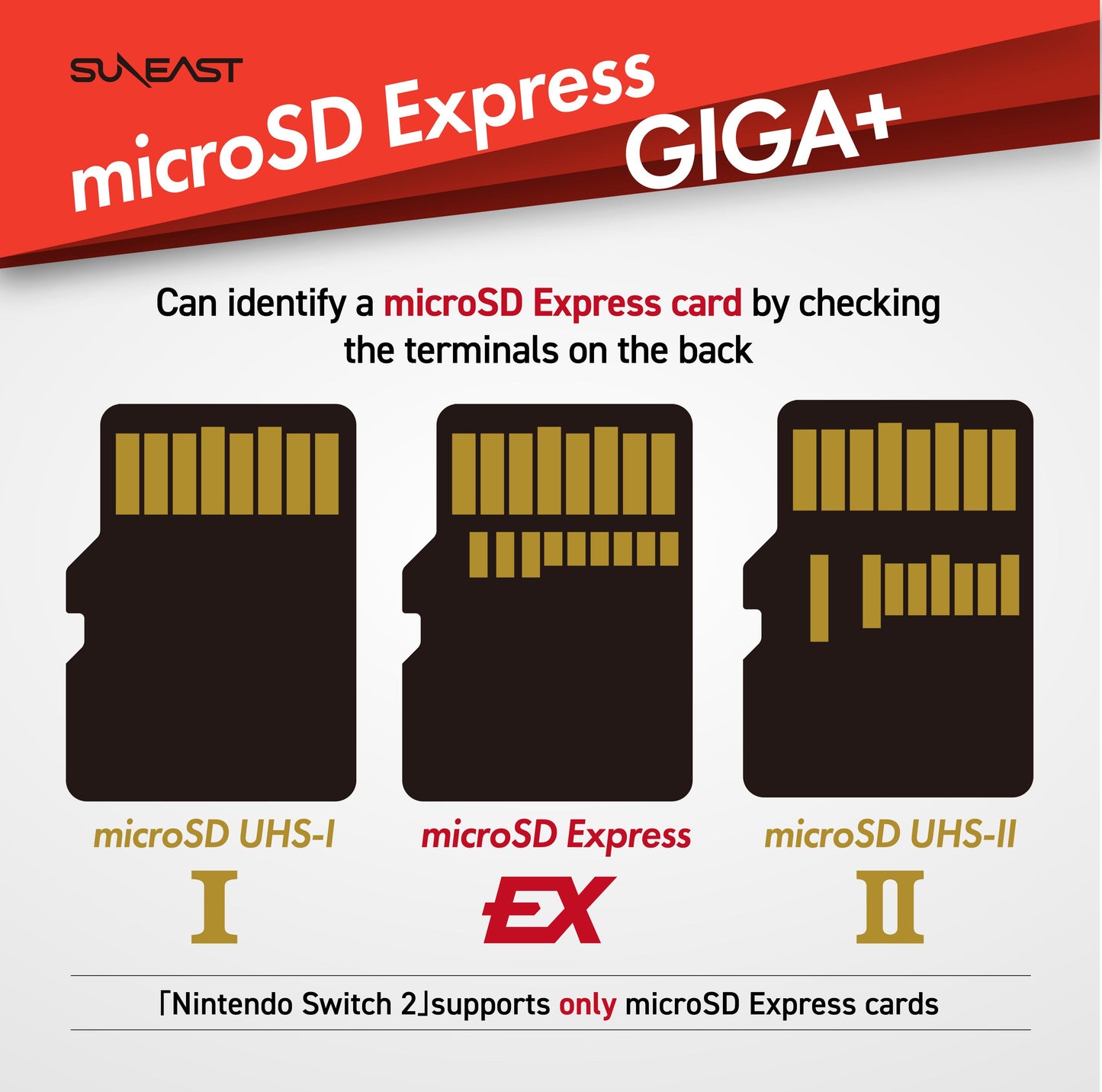 MicroSD Express Card GIGA